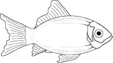 Fishing Charters Vancouver Island