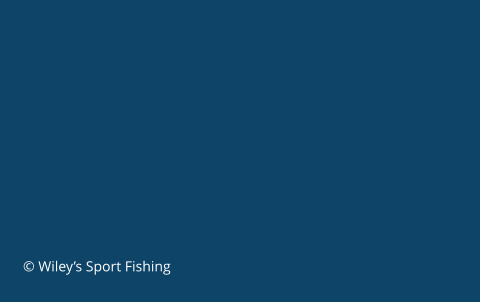 © Wiley’s Sport Fishing